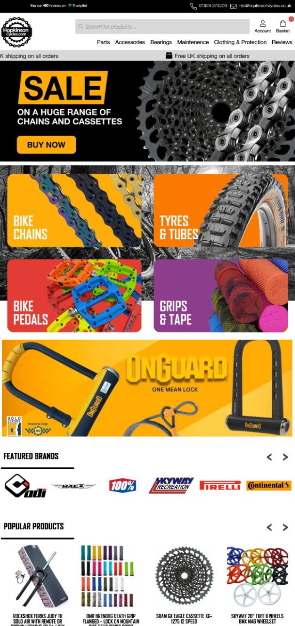 Website Design